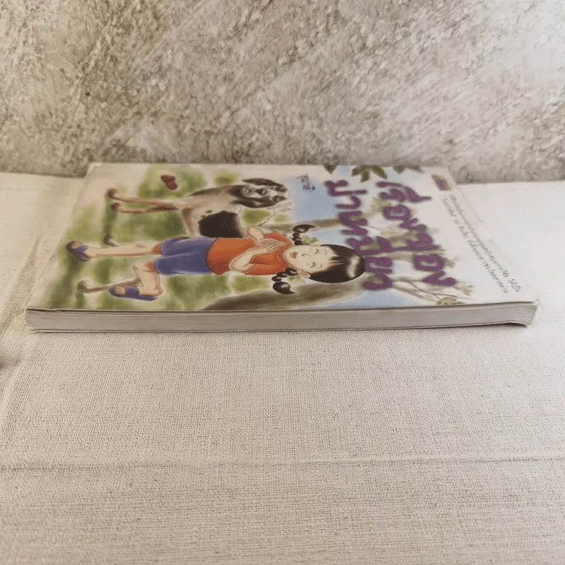 เรื่องของม่าเหมี่ยว - สุมาลี รูปที่ 4