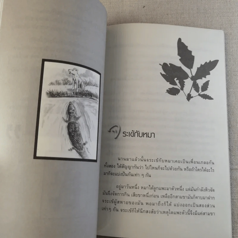 นิทานร่ำรวย - ทศ คณนาพร รูปที่ 11