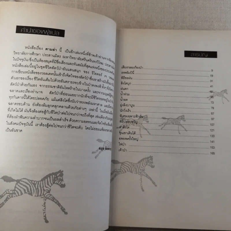 ตามล่า การผจญภัยของสิงห์หนุ่ม รูปที่ 9
