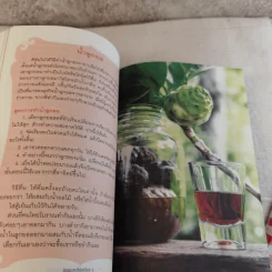แมคโครไบโอติกส์ II Macro Biotics II - สิทรา พรรณสมบูรณ์ รูปที่ 16