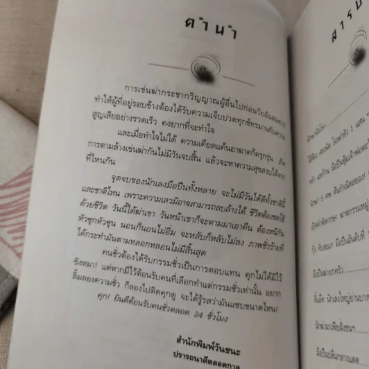 เส้นทางกรรมมือปืนทมิฬ นักฆ่าสองฝั่งโขง - ยอด แปดทิศ รูปที่ 8