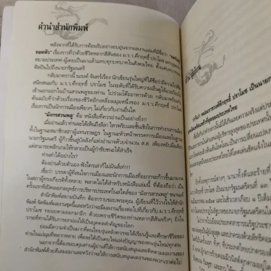 มังกรสวนพลู - ณรงค์ จันทร์เรือง รูปที่ 9