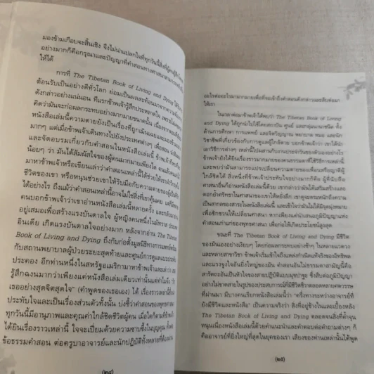 เหนือห้วงมหรรณพ จาก The Tibetan Book of Living and Dying คำสอนธิเบตเพื่อเตรียมตัวตายและช่วยเหลือผู้ใกล้ตาย รูปที่ 18