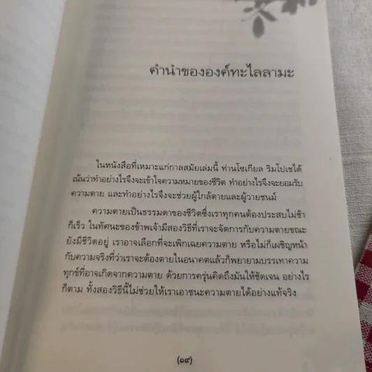 เหนือห้วงมหรรณพ จาก The Tibetan Book of Living and Dying คำสอนธิเบตเพื่อเตรียมตัวตายและช่วยเหลือผู้ใกล้ตาย รูปที่ 14