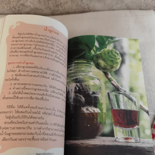 แมคโครไบโอติกส์ II Macro Biotics II - สิทรา พรรณสมบูรณ์ รูปที่ 16