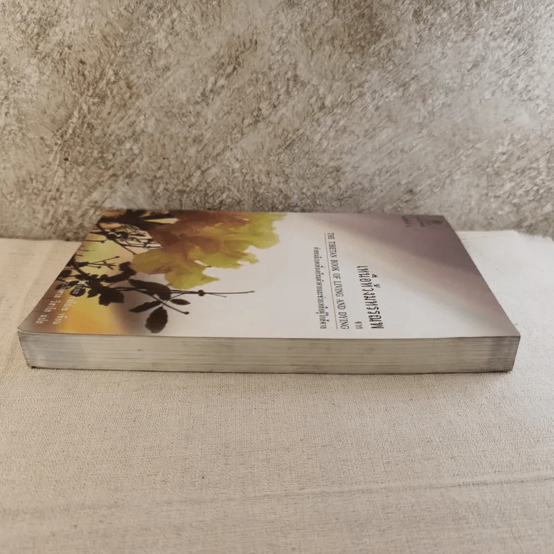 เหนือห้วงมหรรณพ จาก The Tibetan Book of Living and Dying คำสอนธิเบตเพื่อเตรียมตัวตายและช่วยเหลือผู้ใกล้ตาย รูปที่ 4