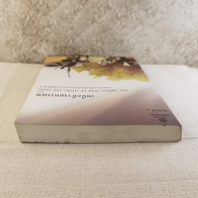 เหนือห้วงมหรรณพ จาก The Tibetan Book of Living and Dying คำสอนธิเบตเพื่อเตรียมตัวตายและช่วยเหลือผู้ใกล้ตาย รูปที่ 6