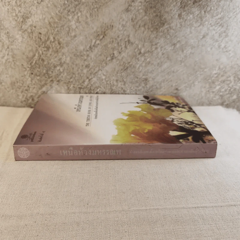 เหนือห้วงมหรรณพ จาก The Tibetan Book of Living and Dying คำสอนธิเบตเพื่อเตรียมตัวตายและช่วยเหลือผู้ใกล้ตาย รูปที่ 3