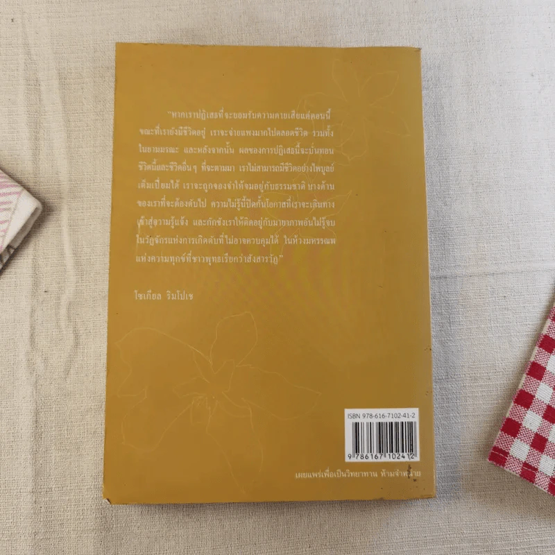 เหนือห้วงมหรรณพ จาก The Tibetan Book of Living and Dying คำสอนธิเบตเพื่อเตรียมตัวตายและช่วยเหลือผู้ใกล้ตาย รูปที่ 2