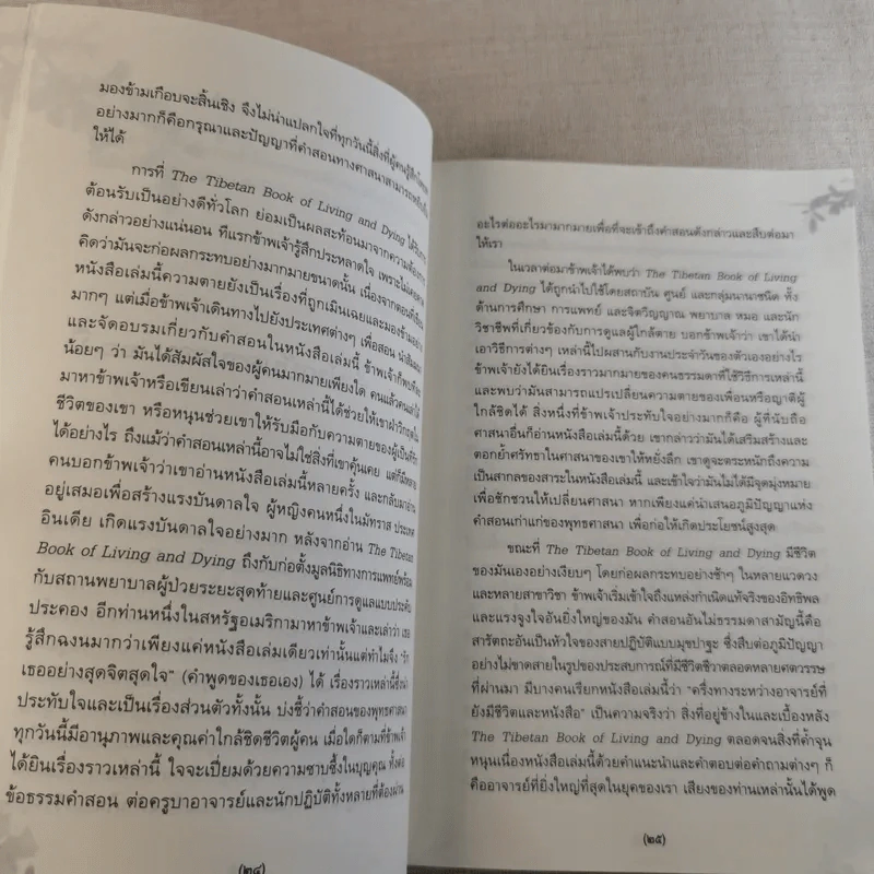 เหนือห้วงมหรรณพ จาก The Tibetan Book of Living and Dying คำสอนธิเบตเพื่อเตรียมตัวตายและช่วยเหลือผู้ใกล้ตาย รูปที่ 18