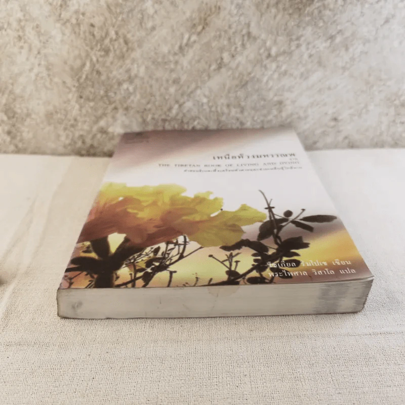 เหนือห้วงมหรรณพ จาก The Tibetan Book of Living and Dying คำสอนธิเบตเพื่อเตรียมตัวตายและช่วยเหลือผู้ใกล้ตาย รูปที่ 5