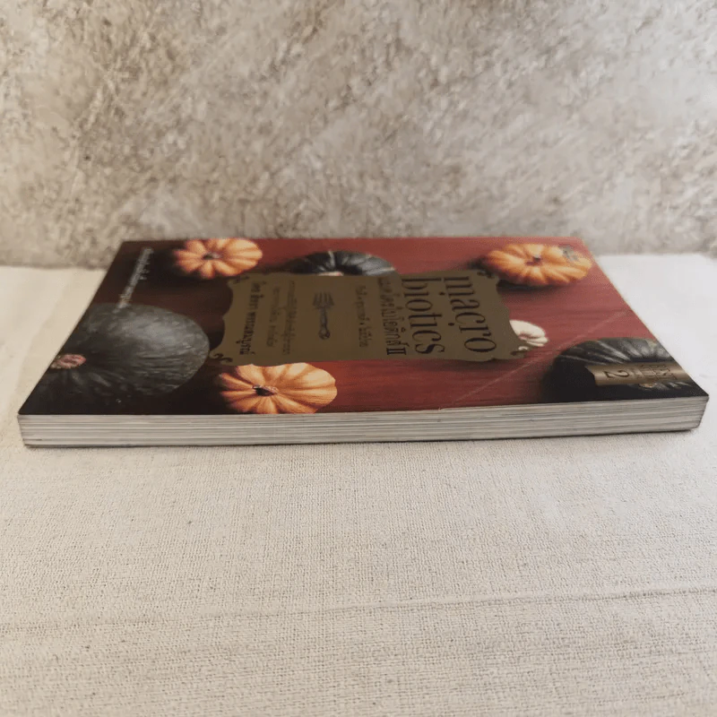 แมคโครไบโอติกส์ II Macro Biotics II - สิทรา พรรณสมบูรณ์ รูปที่ 3