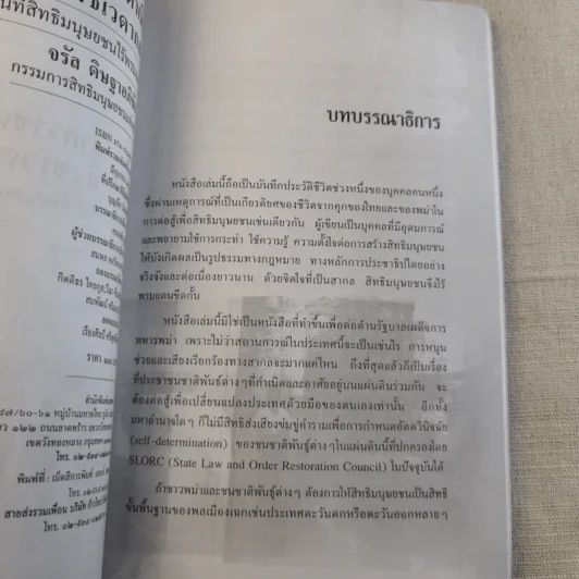 จากราชดำเนินถึงชเวดากอง วันที่สิทธิมนุษยชนไร้พรมแดน - จรัล ดิษฐาอภิชัย รูปที่ 8