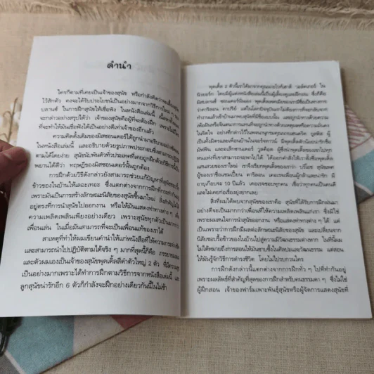 คู่มือฝึกหมาให้เป็นสุนัข รูปที่ 6