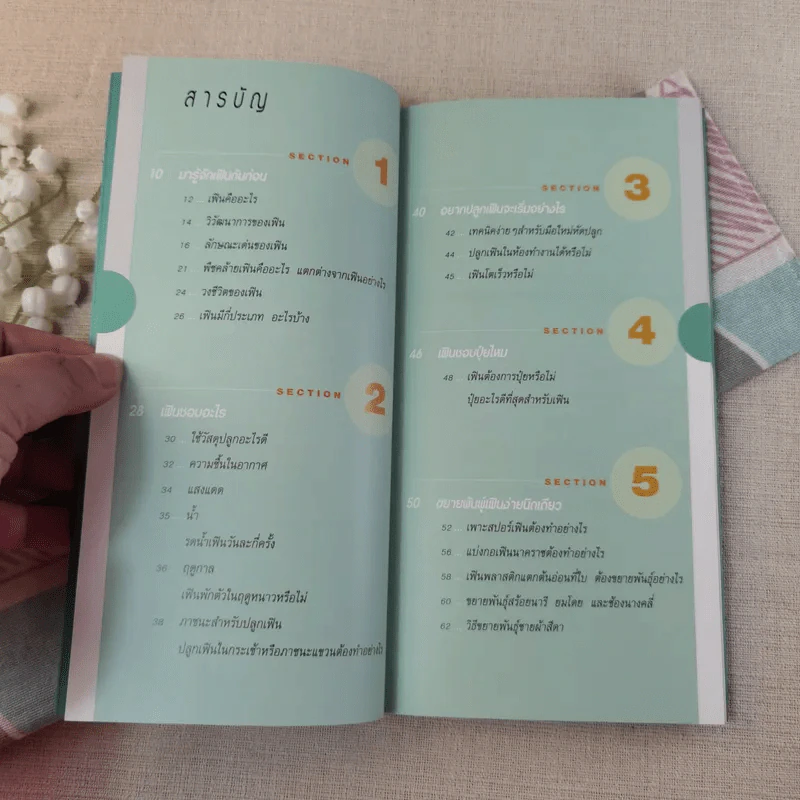 มือใหม่หัดปลูก เฟิน Easy Fern - อุไร จิรมงคลการ รูปที่ 7