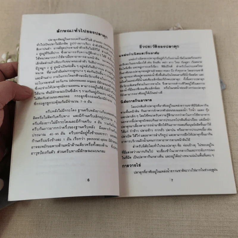 การเลี้ยงปลาดุก - ประสิทธิ์ พันธุ์นิลกุล รูปที่ 8