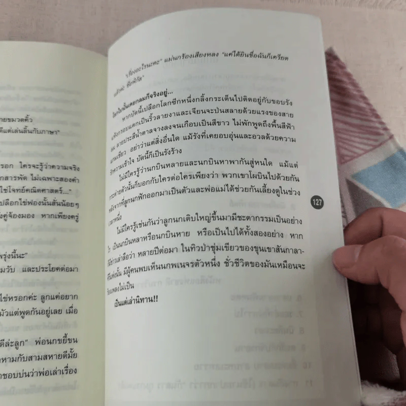 เจ้าหงิญ - บินหลา สันกาลาคีรี รูปที่ 12