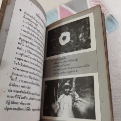 ตะวันรอนก่อนจะลับฟ้า รูปที่ 11
