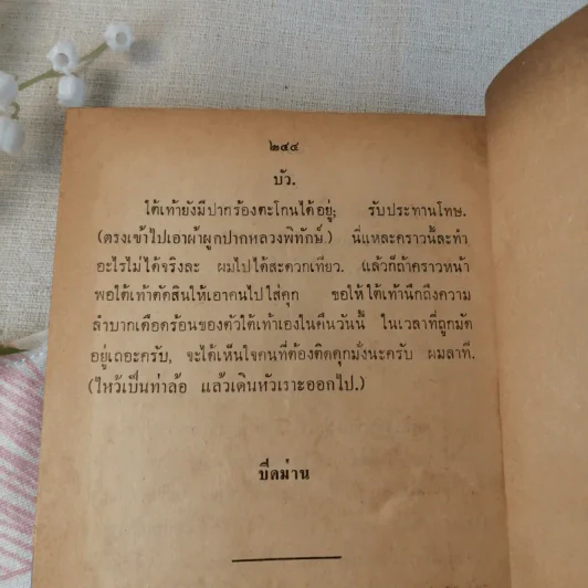สาวิตรีหนามยอกเอาหนามบ่ง หมิ่นประมาทศาล - สมเด็จพระรามาธิบดีศรีสินทรมหาวชิราวุธพระมงกุฎเกล้าเจ้าอยู่หัว รูปที่ 13