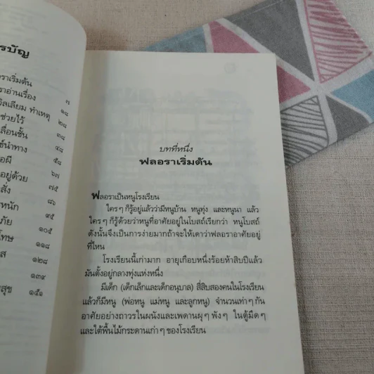 หนู (หนอน) หนังสือ รูปที่ 11