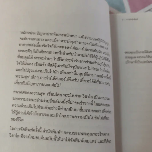 อนาคตของความสุข - พระไพศาล วิสาโล รูปที่ 11