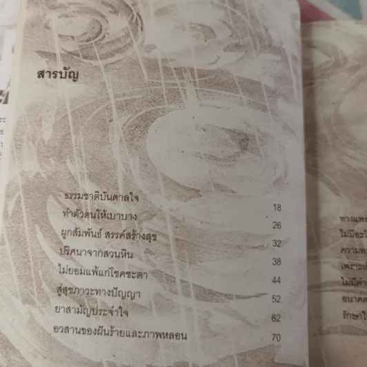 อนาคตของความสุข - พระไพศาล วิสาโล รูปที่ 13
