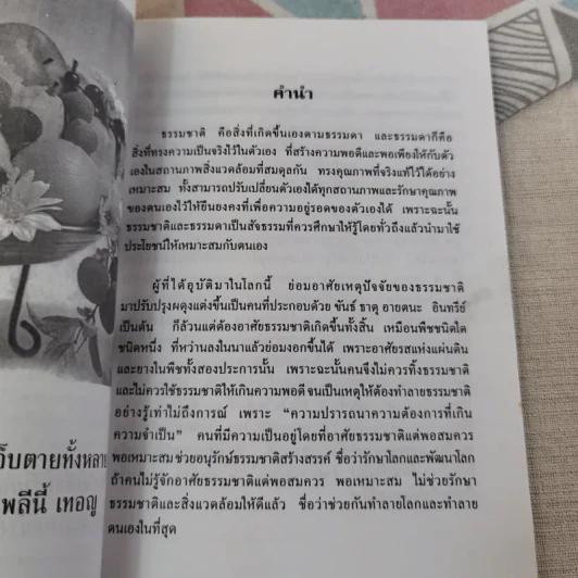 ผัก ผลไม้ สูตรวิเศษและกายดีใจอิ่ม รูปที่ 7