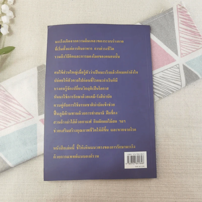 มะเร็ง เสริมรักษา เคมี-รังสีบำบัดด้วยธรรมชาติวิธี รูปที่ 2