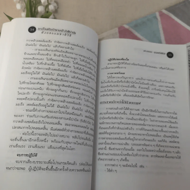 มะเร็ง เสริมรักษา เคมี-รังสีบำบัดด้วยธรรมชาติวิธี รูปที่ 13