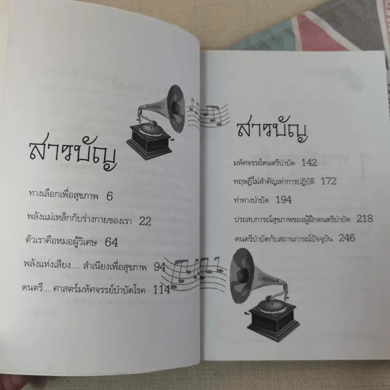 ดนตรีบำบัด - อ.ศุภชัย จารุสมบูรณ์ รูปที่ 8