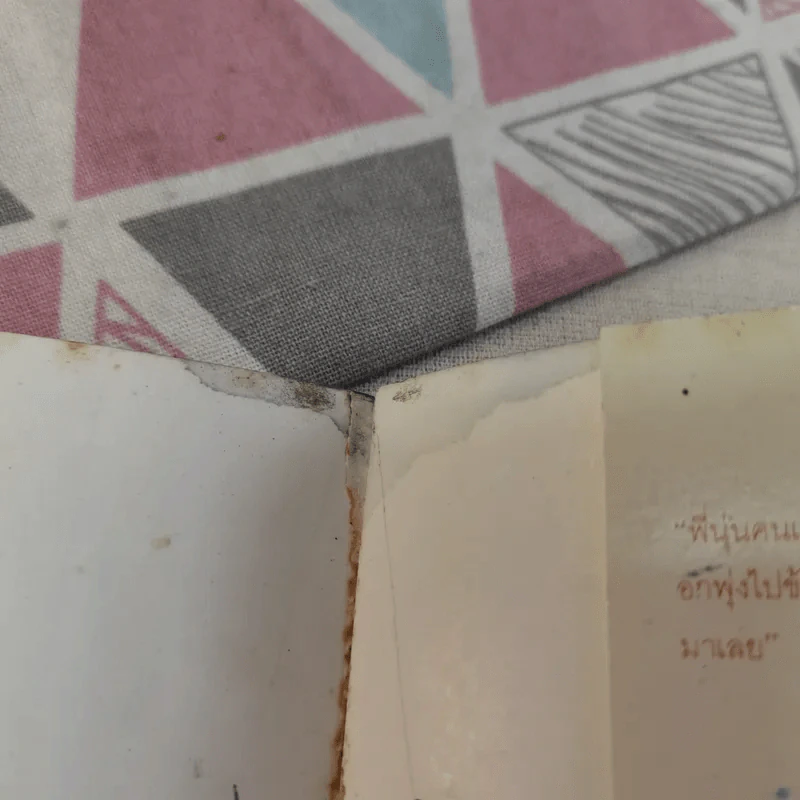หอมกลิ่นกระโปรงบาน - ก้านกล้วย รูปที่ 14