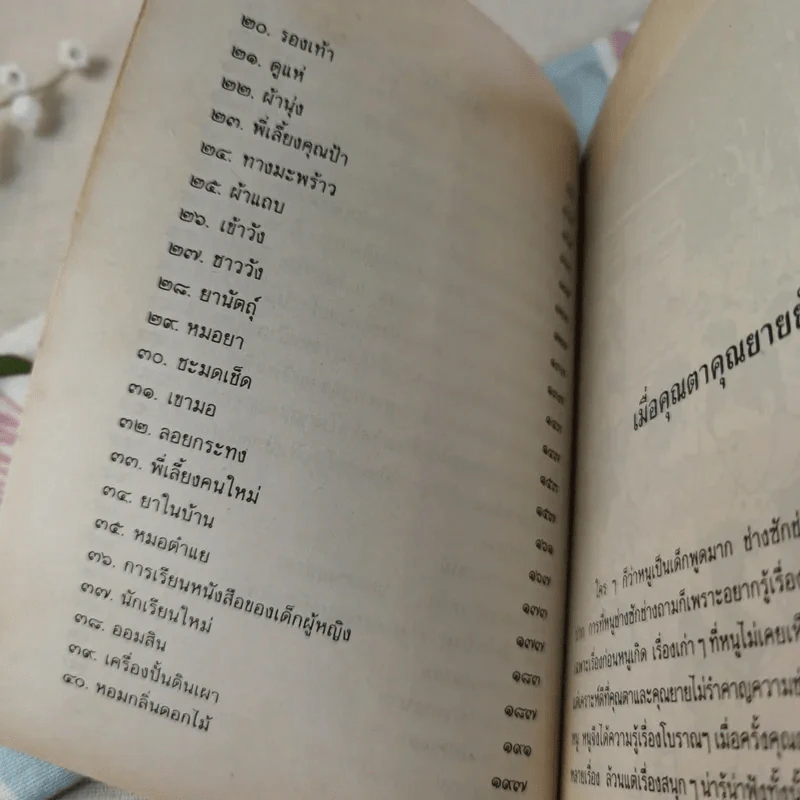 เมื่อคุณตาคุณยายยังเด็ก เล่ม 2 - ทิพย์วาณี สนิทวงศ์ฯ รูปที่ 11