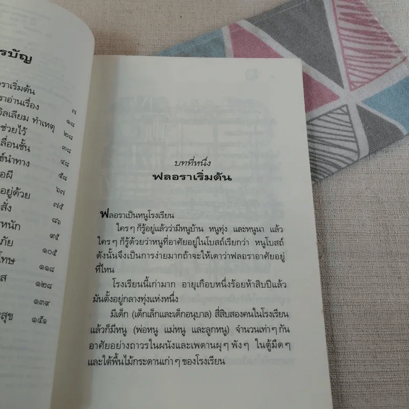 หนู (หนอน) หนังสือ รูปที่ 11