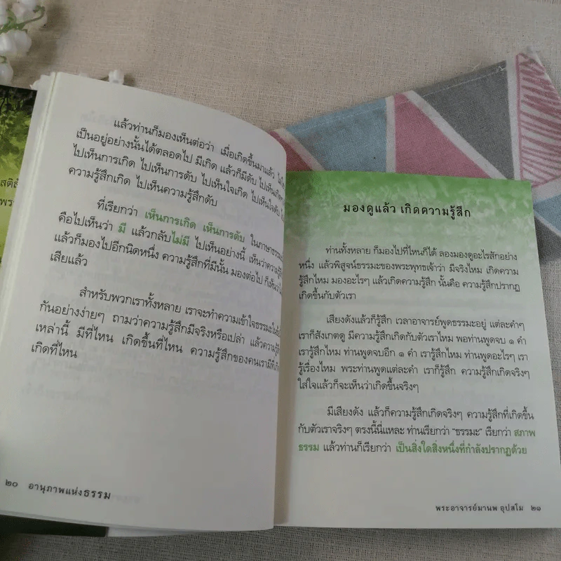 อานุภาพแห่งธรรม - พระอาจารย์มานพ อุปสโม รูปที่ 13