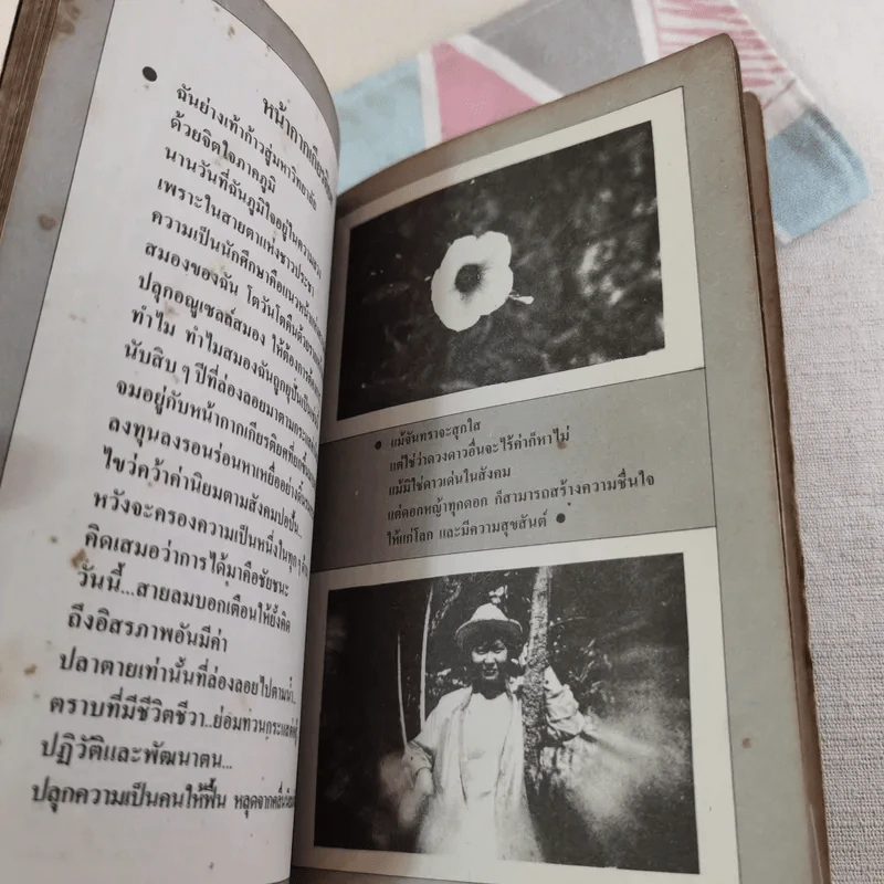 ตะวันรอนก่อนจะลับฟ้า รูปที่ 11