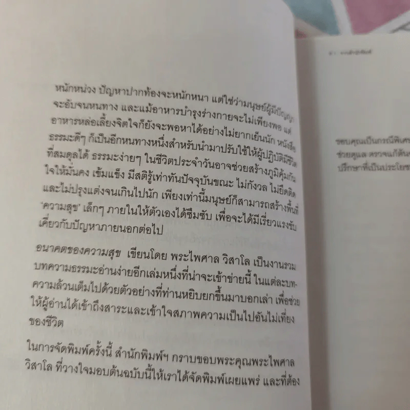 อนาคตของความสุข - พระไพศาล วิสาโล รูปที่ 11