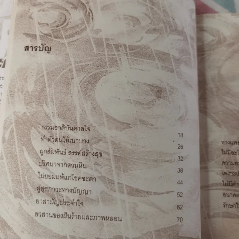 อนาคตของความสุข - พระไพศาล วิสาโล รูปที่ 13