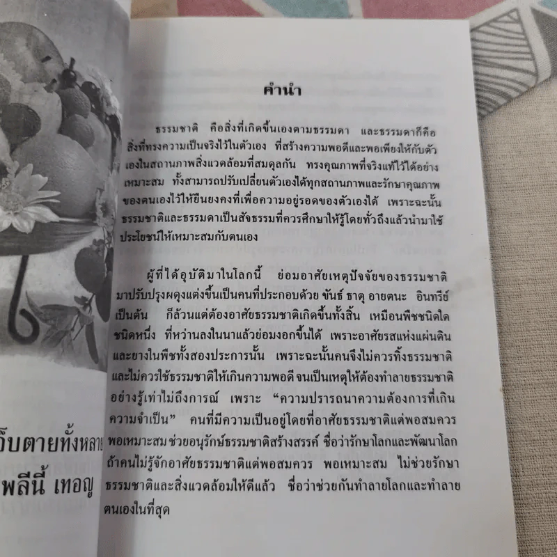 ผัก ผลไม้ สูตรวิเศษและกายดีใจอิ่ม รูปที่ 7