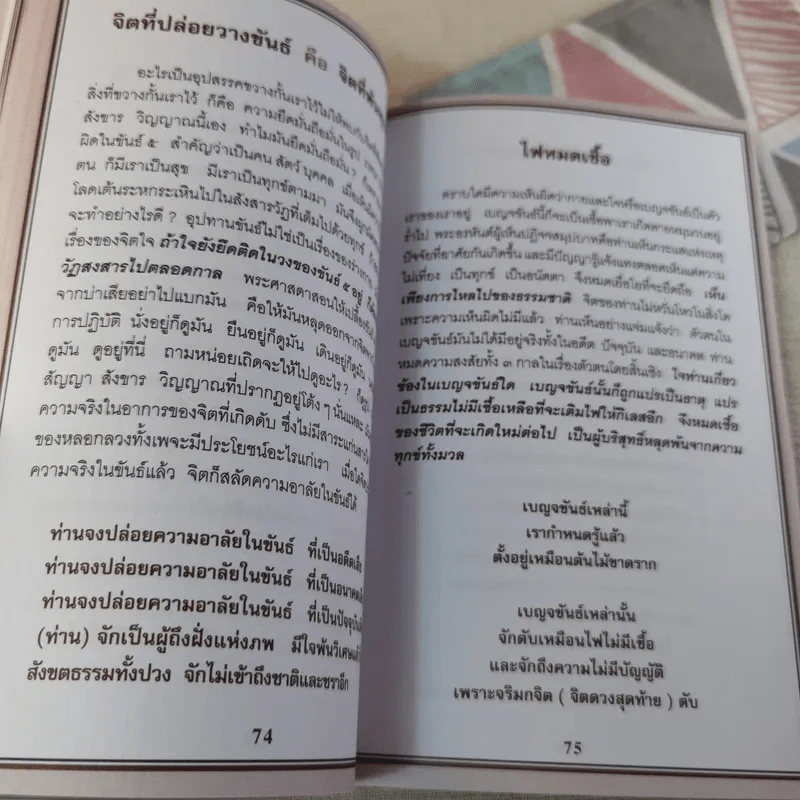 พระพุทธเจ้าพระองค์จริง - อาปาสันติ รูปที่ 11