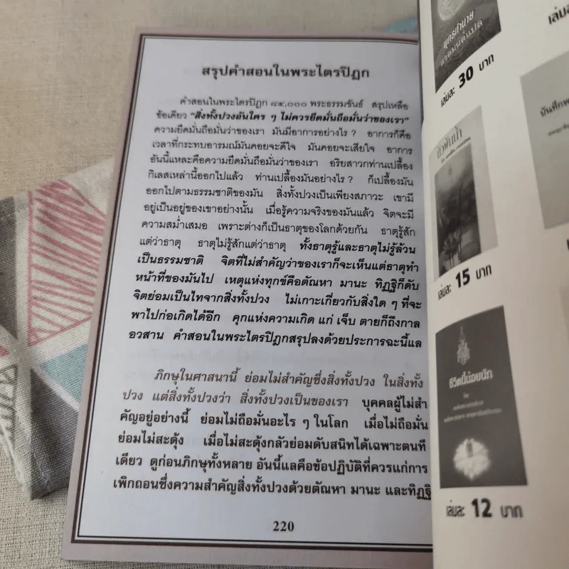 พระพุทธเจ้าพระองค์จริง - อาปาสันติ รูปที่ 12
