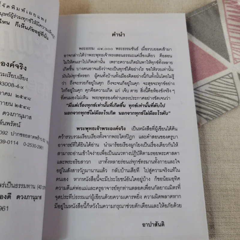 พระพุทธเจ้าพระองค์จริง - อาปาสันติ รูปที่ 8