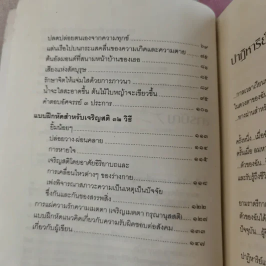 ปาฏิหาริย์แห่งการตื่นอยู่เสมอ - ติช นัท ฮันห์ รูปที่ 12