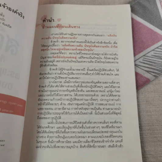 สติคือพระพุทธเจ้าองค์จริง รูปที่ 9