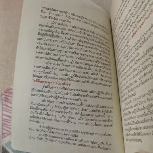 สติคือพระพุทธเจ้าองค์จริง รูปที่ 10