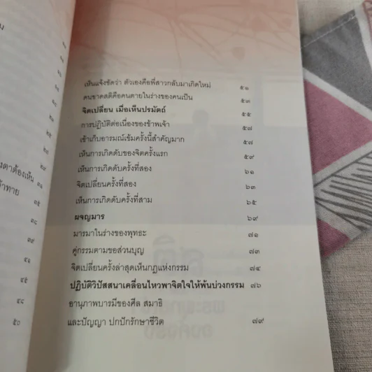 สติคือพระพุทธเจ้าองค์จริง รูปที่ 13