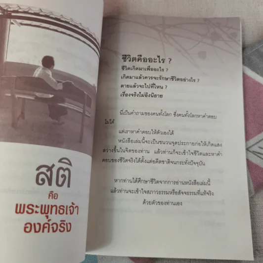 สติคือพระพุทธเจ้าองค์จริง รูปที่ 14