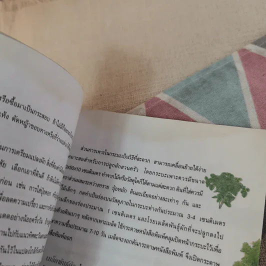 สวนผักรักษ์ไทย โครงการเฉลิมพระเกียรติเนื่องในโอกาสพระราชพิธีมหามงคลฯ รูปที่ 10