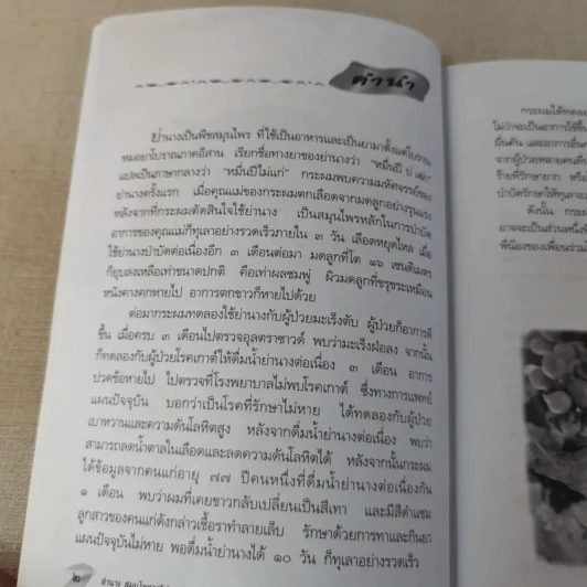 ย่านาง สมุนไพรมหัศจรรย์ - ใจเพชร มีทรัพย์ (หมอเขียว) รูปที่ 8
