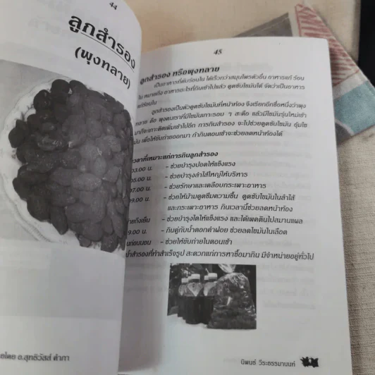 กินเป็น ลืมป่วย ล้างสารพิษในร่างกาย - อ.สุทธิวัสส์ คำภา รูปที่ 12