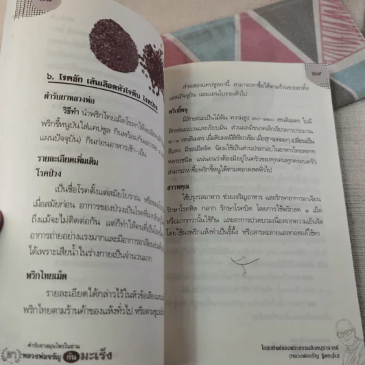 ตำรับยาสมุนไพรในย่าม ยา หลวงพ่อจรัญกันมะเร็ง รูปที่ 10